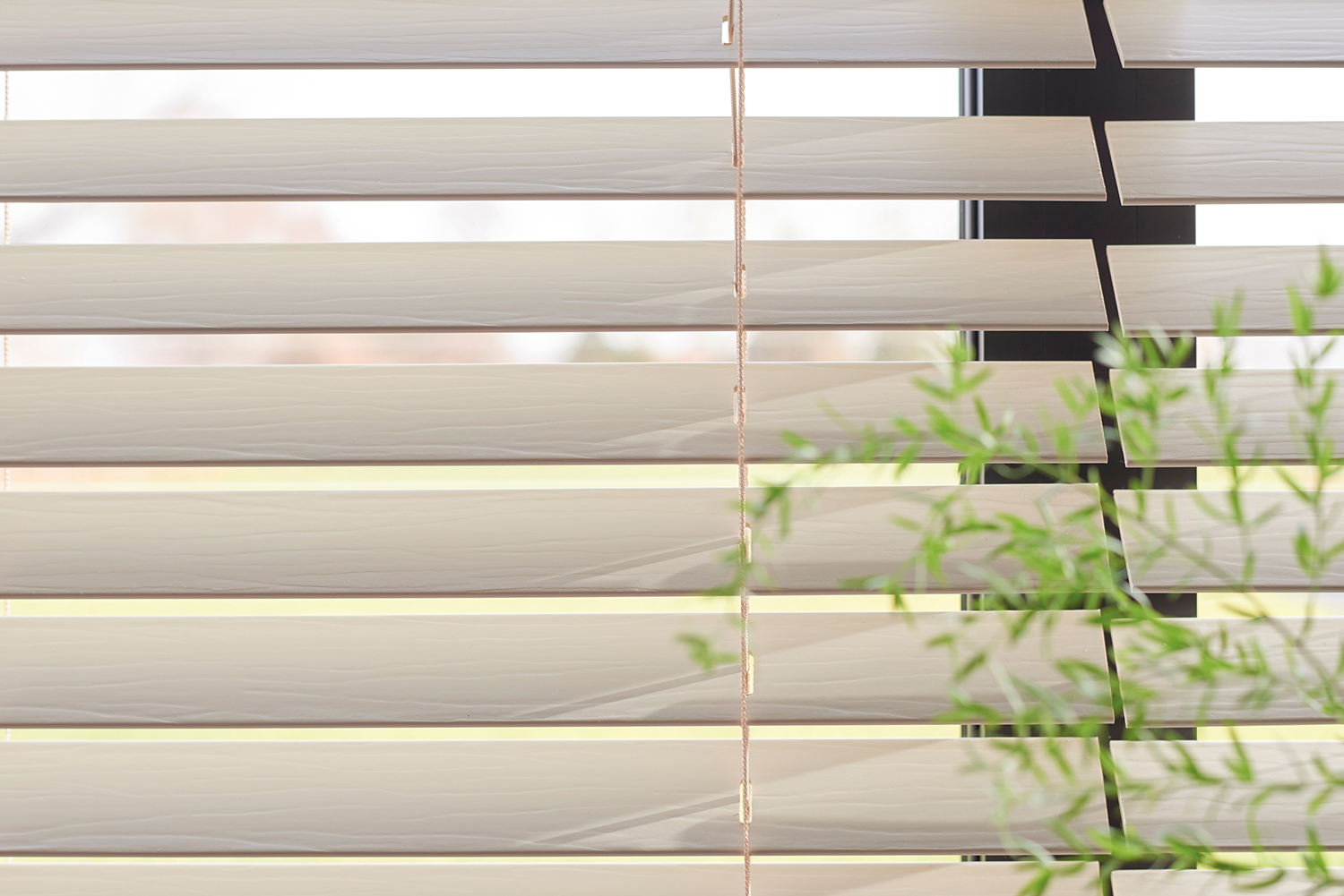 Luxaflex Wood Blinds